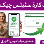 CM Punjab Rahmat Card Status Check Online 2026 – Complete Guide